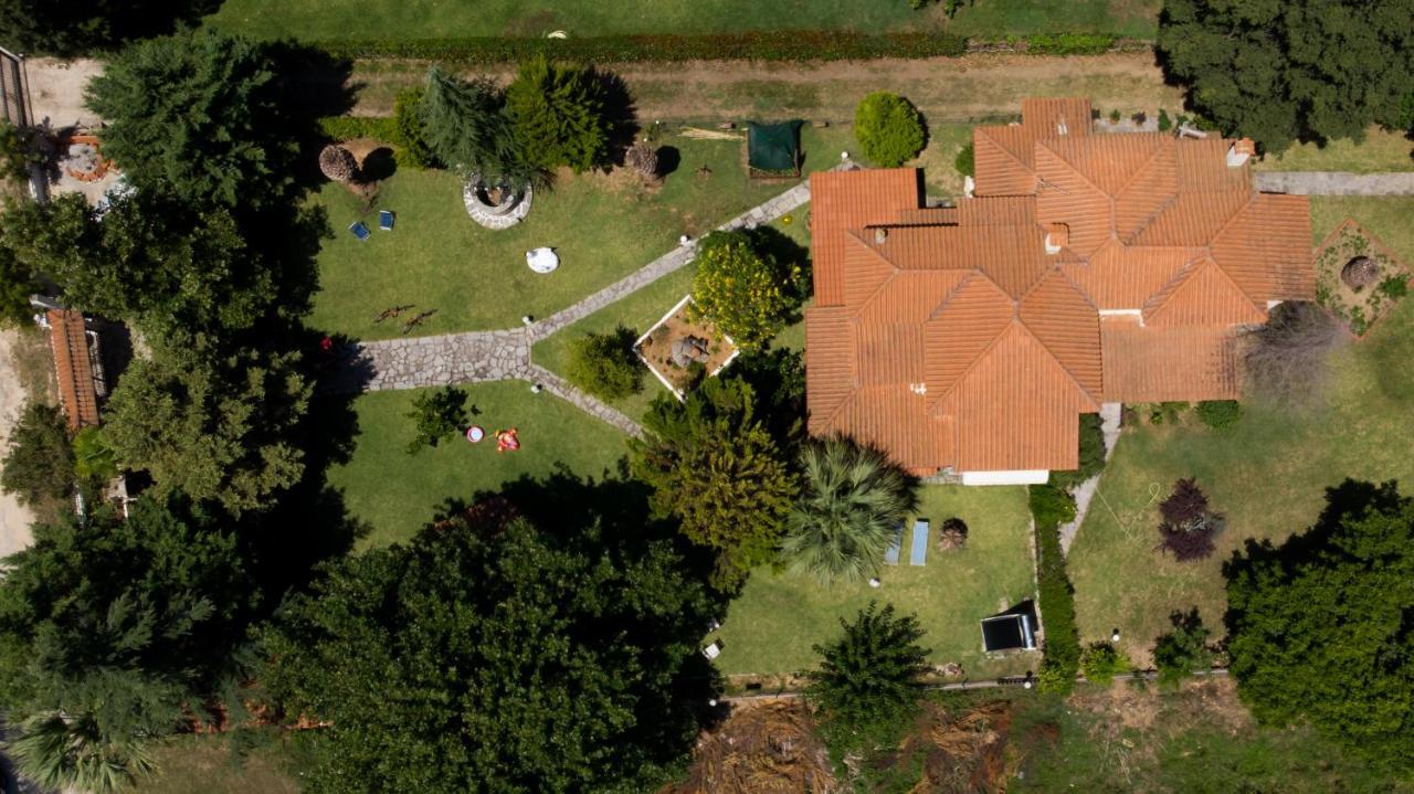 Villa Palmera Ierissos Exterior photo