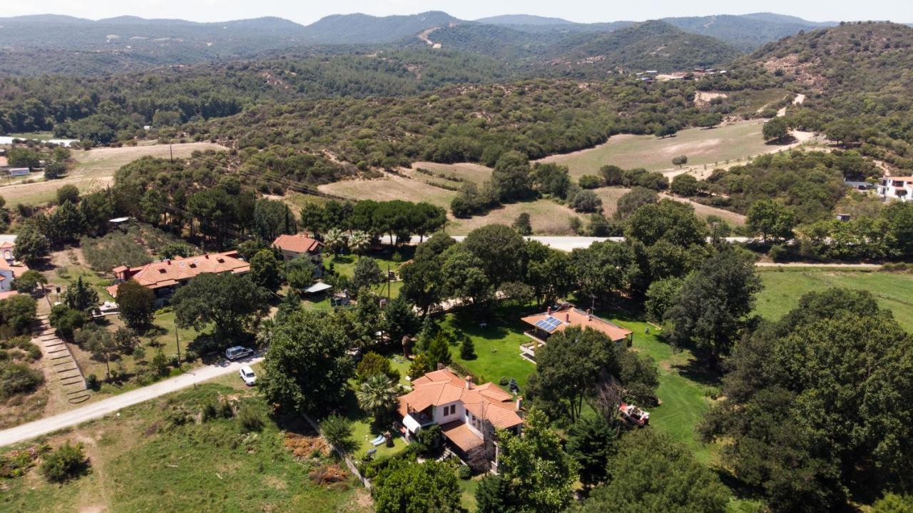 Villa Palmera Ierissos Exterior photo